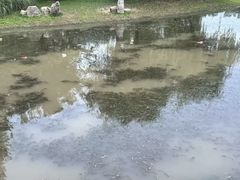 -堤角公园