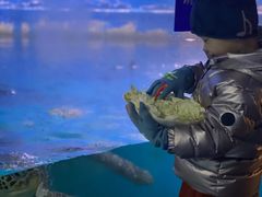 -烟台海昌鲸鲨海洋公园