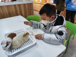 -Moni星球萌宠·小马宝莉·灵蛇·高端高阶全萌宠互动体验俱乐部(红豆国际广场店)