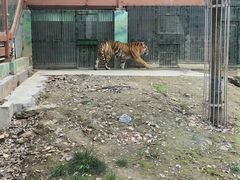 -栾川竹海野生动物园