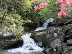 -燕子河大峡谷天坑仙境