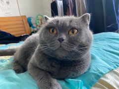 -宠颐生宠物医院·心肾内科·猫专科诊疗中心宠巢店