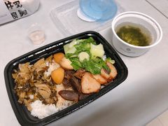-MR鹅外