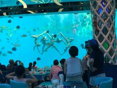 -瑞德姆美人鱼海底演艺主题餐厅(亚龙湾店)