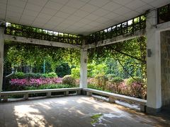 景点-广州珠江公园