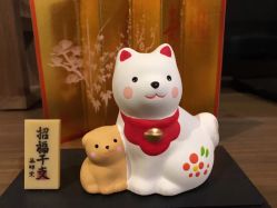 -京世沙龙