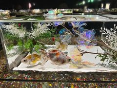 -三越百货(三越银座店)