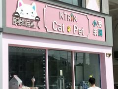 -70cat德文卷毛猫·缅因猫纯种猫舍