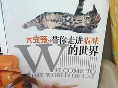 -美联众合爱康动物医院•复杂内科•肿瘤科•牙科•腔镜诊疗中心