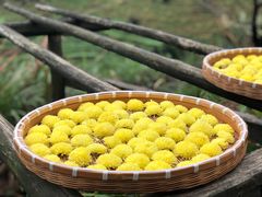 -婺源梦里老家大型山水实景演出