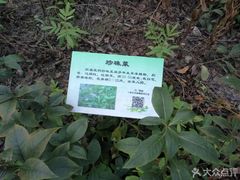 -昆山城市生态森林公园