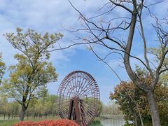 -苏州太湖国家湿地公园