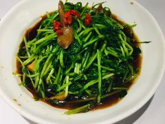-丰收日(五角场店)