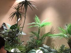-奈雪的茶(广州万菱汇PRO店)