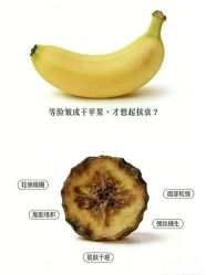 -克丽缇娜