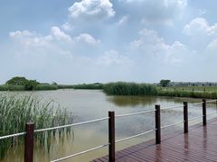 -盐城丹顶鹤湿地生态旅游区