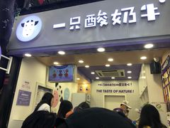 门面-一只酸奶牛(八一路店)