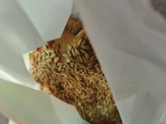 -丝路传奇·中国拉面航母店(北医三院店)