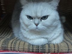 -喜剧部落脱口秀(三里屯店)