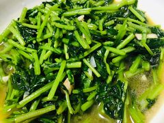 -全乐鱼馆·淳牌有机鱼直营店