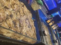 -万宝海鲜舫(劳动公园店)