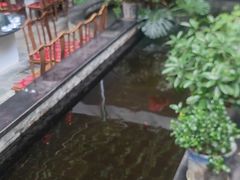 -燕北云山·农家菜·灶台鱼(密云溪翁庄店)