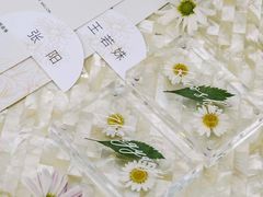 -三亚太阳湾柏悦酒店