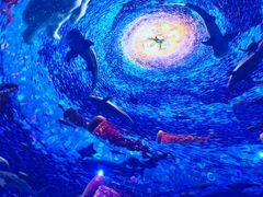 -海合安青岛极地海洋公园