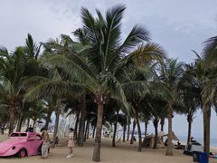 -玫瑰海岸文化旅游度假区