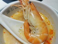 罗氏大头虾-濠七糟粕醋•海南酸汤火锅(中关村店)