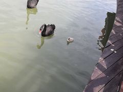 -上方山森林动物世界