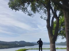 -天乐农家鱼头王(天目湖店)