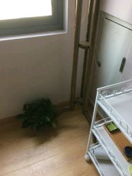 -颜工坊健康美容管理中心喜丽妈妈