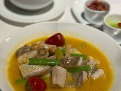 鲜菌泡椒烧三江口鮸鱼-荣轩(新荣记环球金融中心店)