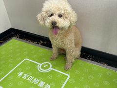 -瑞鹏宠物医院·骨外科·心肾科·肿瘤科(九亭店)