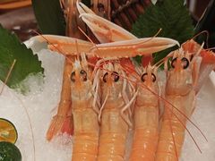 -極上萬膳·日料放题(海岸城店)