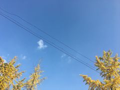 -四川大学(望江校区)