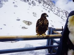 -玉龙雪山游客服务中心