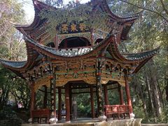 -蝴蝶泉公园