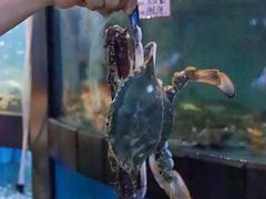 -渔满仓海鲜渔家(象山二店)