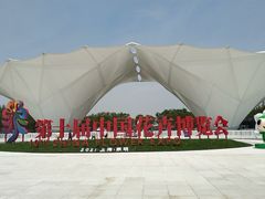 -东平国家森林公园