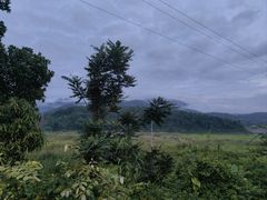 -孔雀湖生态旅游区