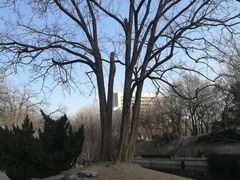 -元大都城垣遗址公园