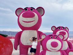 -盐湖景区