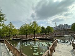 -五缘湾湿地公园