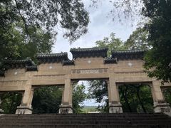 -灵谷景区