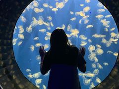 -成都浩海立方海洋公园