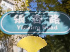 -辽宁大学(崇山校区)