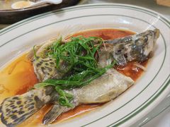 -八仔大富楼·河鲜(西江店)