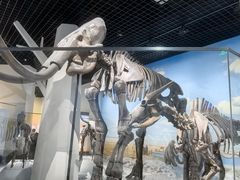 -国家自然博物馆